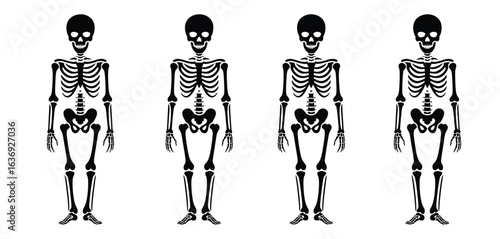 Four stylized human skeletons standing in a row
