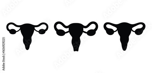 Three black silhouettes of female reproductive system uterus and fallopian tubes