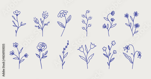 Botanical linear flower set. Abstract floral doodle elements for card packaging design, posters. Vector sketch collection