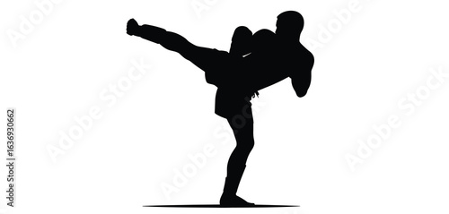 Silhouette of a martial artist performing a dynamic high kick