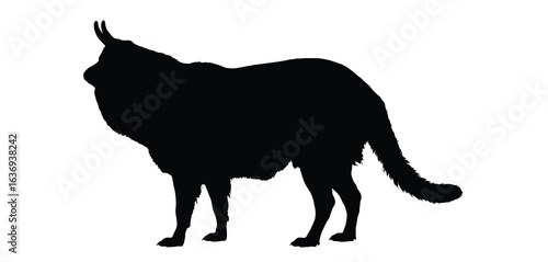 Silhouette of a fluffy dog with its head tilted back