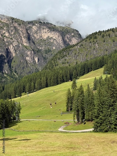 landscape in the mountains
