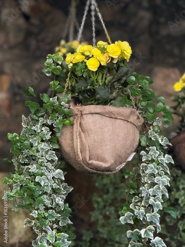 yellow flowers in a garden