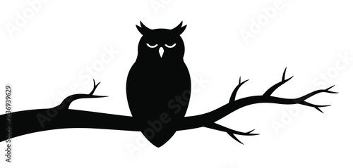 Silhouette of an owl perched on a bare tree branch