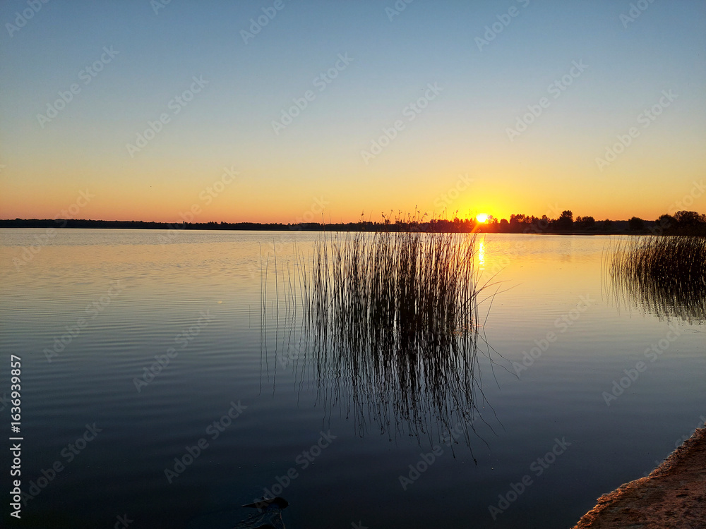 Fototapeta premium Sunrise over tranquil lake with tall reeds reflecting in calm waters