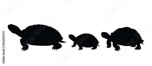 Three tortoise silhouettes walking together on a white background