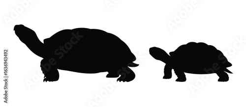 Two tortoises silhouettes facing left on a white background