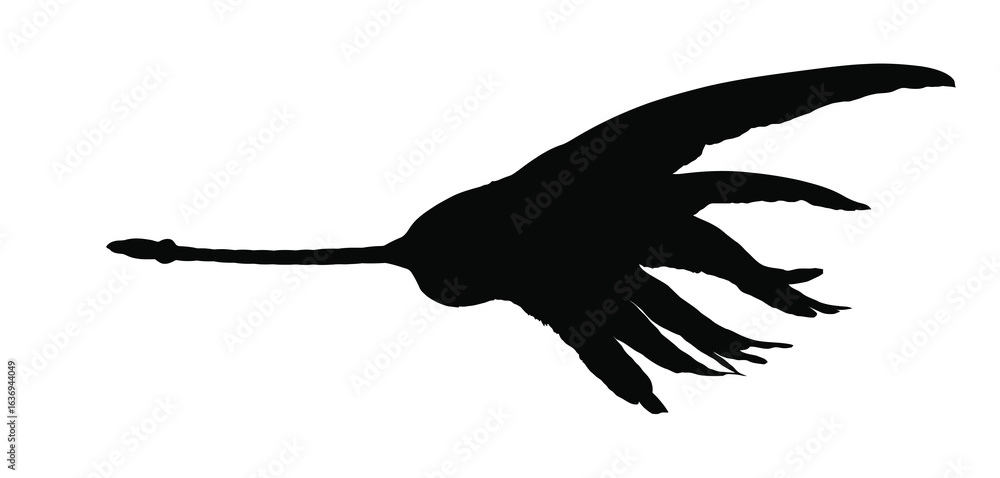 Obraz premium Silhouette of a bird in flight with wings spread wide