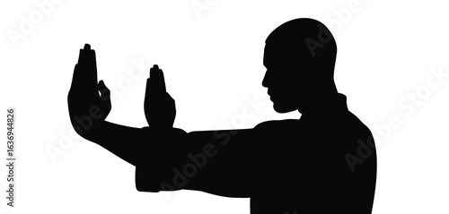 Silhouette of a man performing a martial arts stance with hands raised