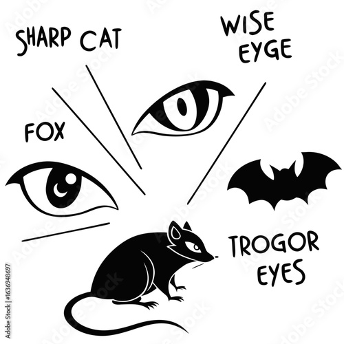 Illustration of various animals and eyes including a rat bat fox cat with sharp trogor and wise eyes vector