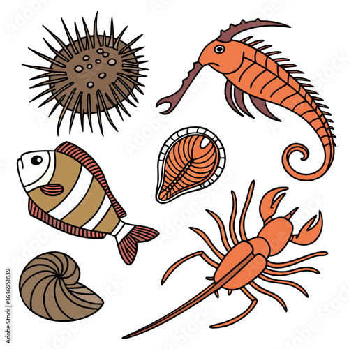 Illustration of various marine organisms including a fish sea urchin and several invertebrates on transparent background