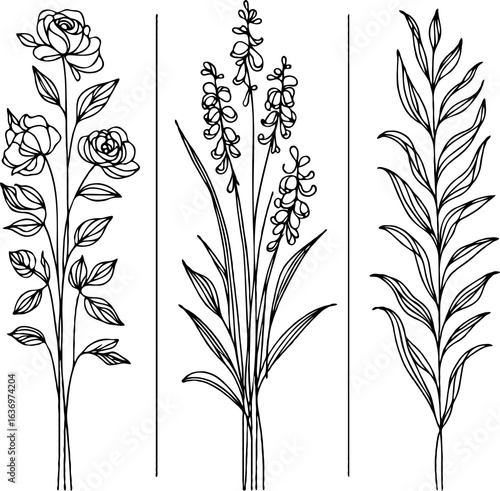 Set of outline roses, leaves, doodle floral pattern. Hand drawn rose Botanical drawing. Detailed line art rosebuds, buds illustration. Simple Stylized flowers. Elegant Black and White blossom