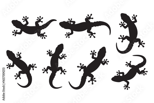 Seven Black Silhouette Geckos in Various Poses on White Background lizard reptile