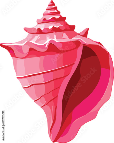 Pink Seashell Illustration on White Background