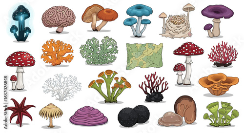 Assortment of Colorful Fantasy Mushrooms and Fungi Isolated on White Background