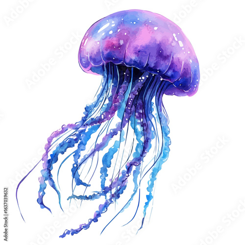 Jellyfish, watercolor painting vector, isolated on a white background.