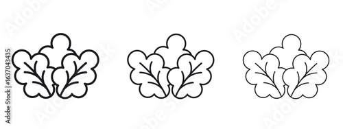 Lettuce icon logo black pictogram set. Graphic simple vector icon