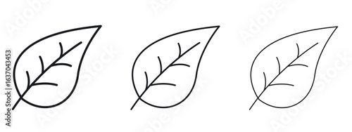 Leaf icon logo black pictogram set. Graphic simple vector icon
