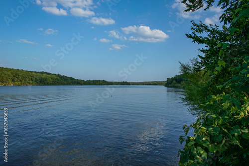 lake in the forest of Southwest Missouri 