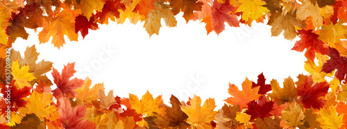 Autumn leaves border