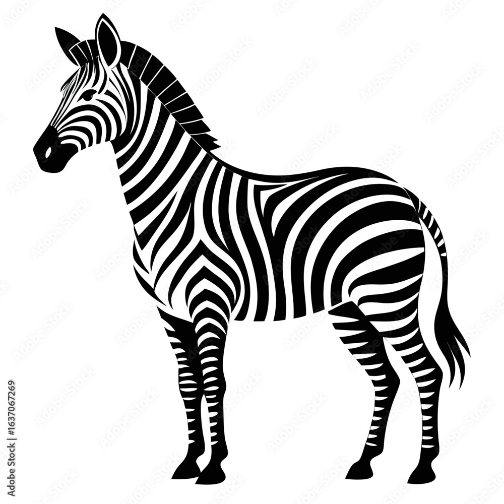 Fototapeta premium vector illustration of zebra, looking back, abstract