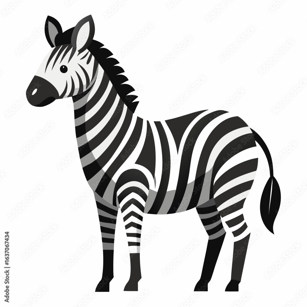 Obraz premium vector illustration of zebra, looking back, flat design