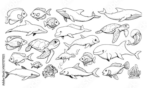 Detailed Black and White Line Art Collection of Diverse Marine Life: Fish, Dolphins, Whales, Sea Turtles, Sharks, and Jellyfish for Coloring Pages.