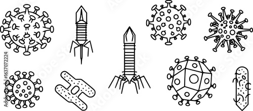 Virus particles outline vector
