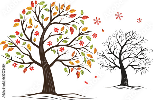 Autumn and winter trees contrasting seasons