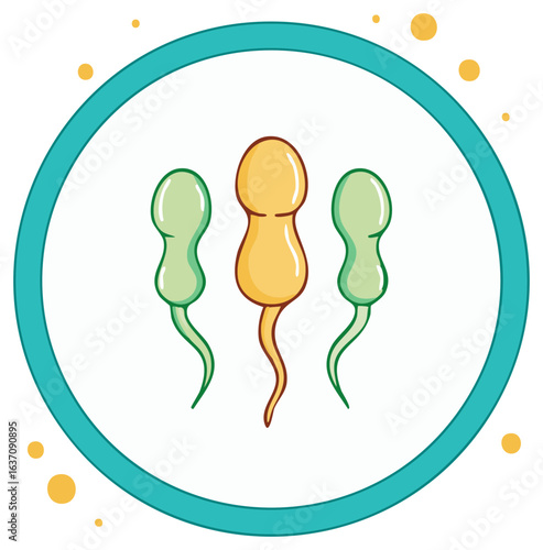 Medical illustration of abnormal sperm morphology for male infertility and andrology concepts