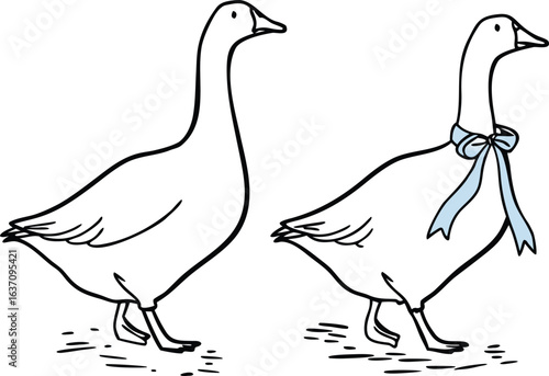 Two geese one wearing a blue ribbon bow