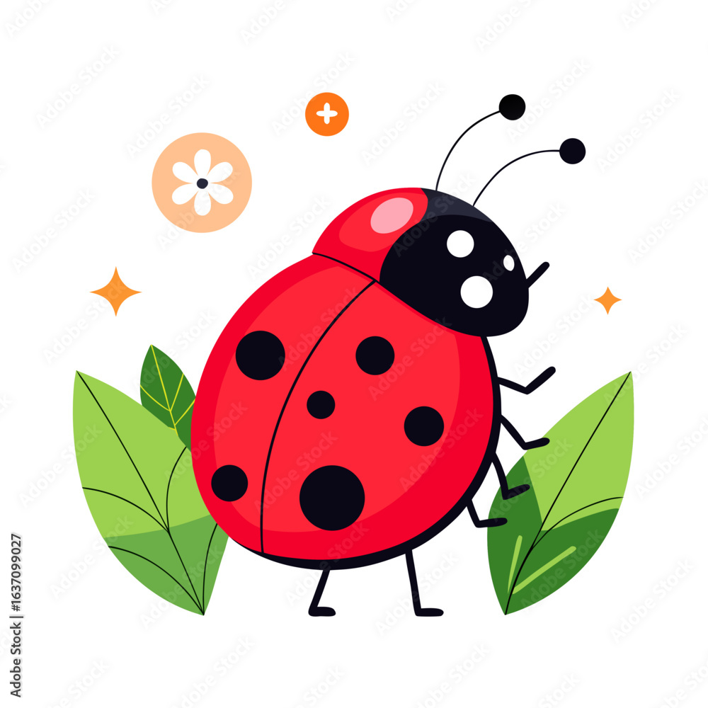 Fototapeta premium vector illustration of ladybug, side profile, flat design