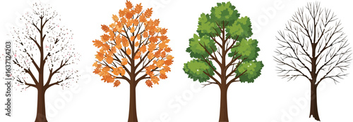Vector art of four seasons trees illustration isolated on white background