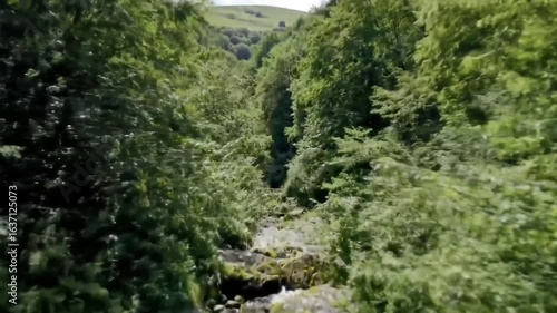 Serene Natural Beauty, Forest And Water Flow, Tranquil Landscape