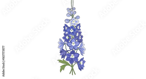 Elegant delphinium flower illustration in hues of blue and white for creative design