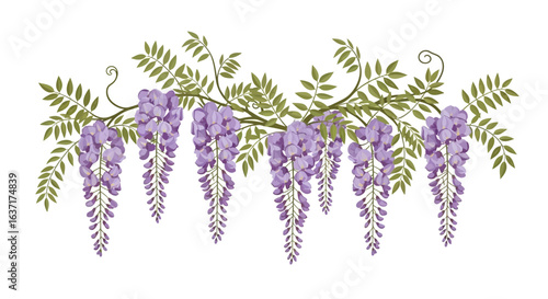 Graceful wisteria cascade illustration with lush foliage and serene ambiance