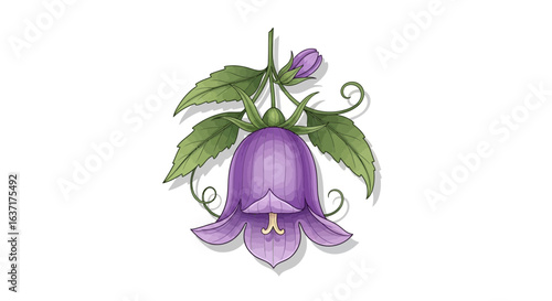 Delicate bellflower illustration with botanical elements on white backdrop