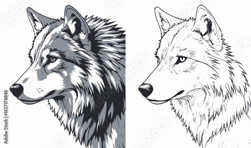 Two Wolves – Colorful Realistic Illustration and Matching Outline Sketch Wildlife Animal Art