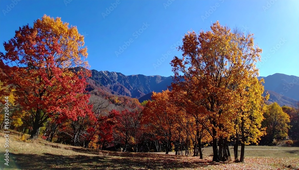 Obraz premium Autumn foliage panorama with mountains