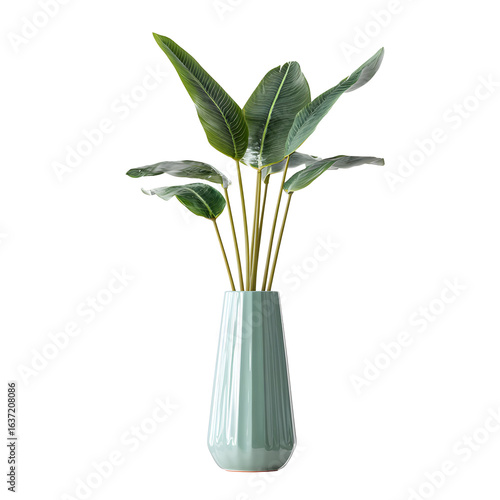Teal vase with tropical plant