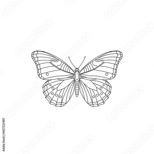 Printable butterfly color