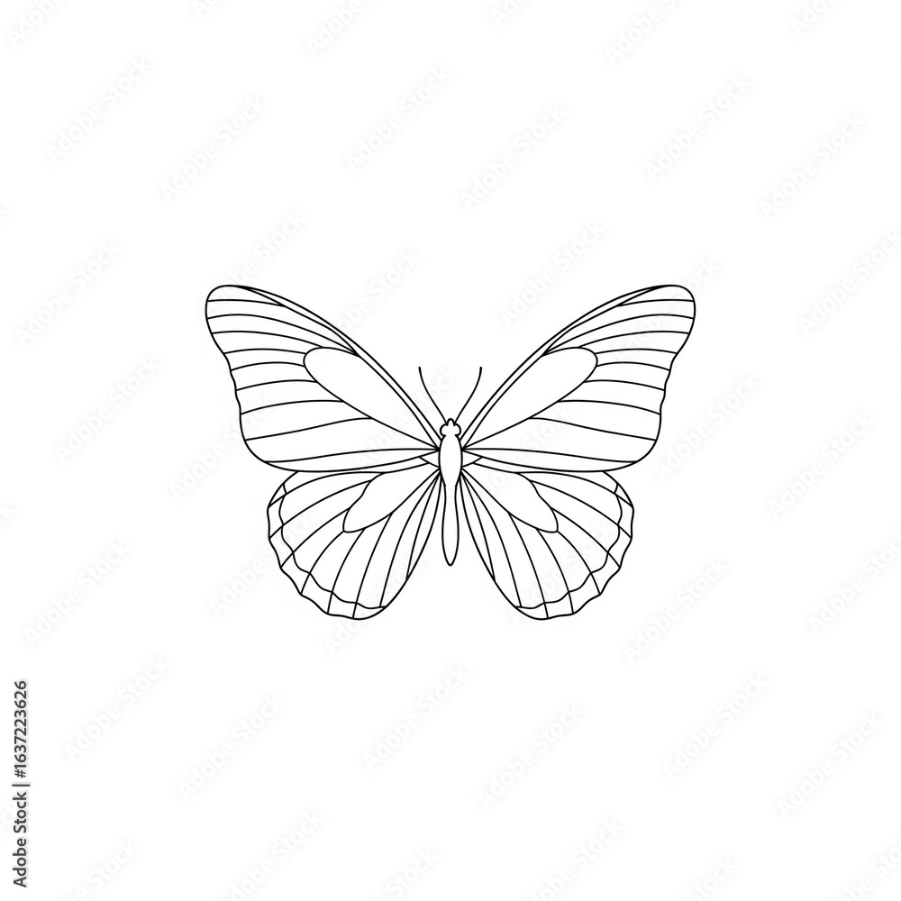 Fototapeta premium Printable butterfly color