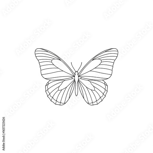 Printable butterfly color
