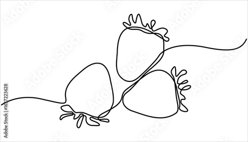Vector illustration with continuous line drawing Strawberries, Single continuous line drawing of organic strawberry for fruit icon fresh berries fruitage concept, One continuous line drawing.