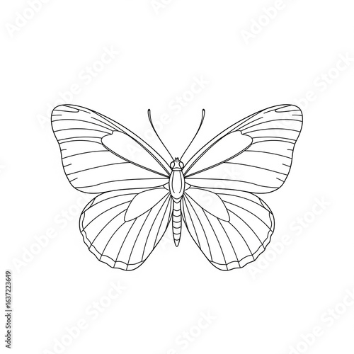 Printable butterfly color