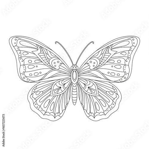 Printable butterfly color