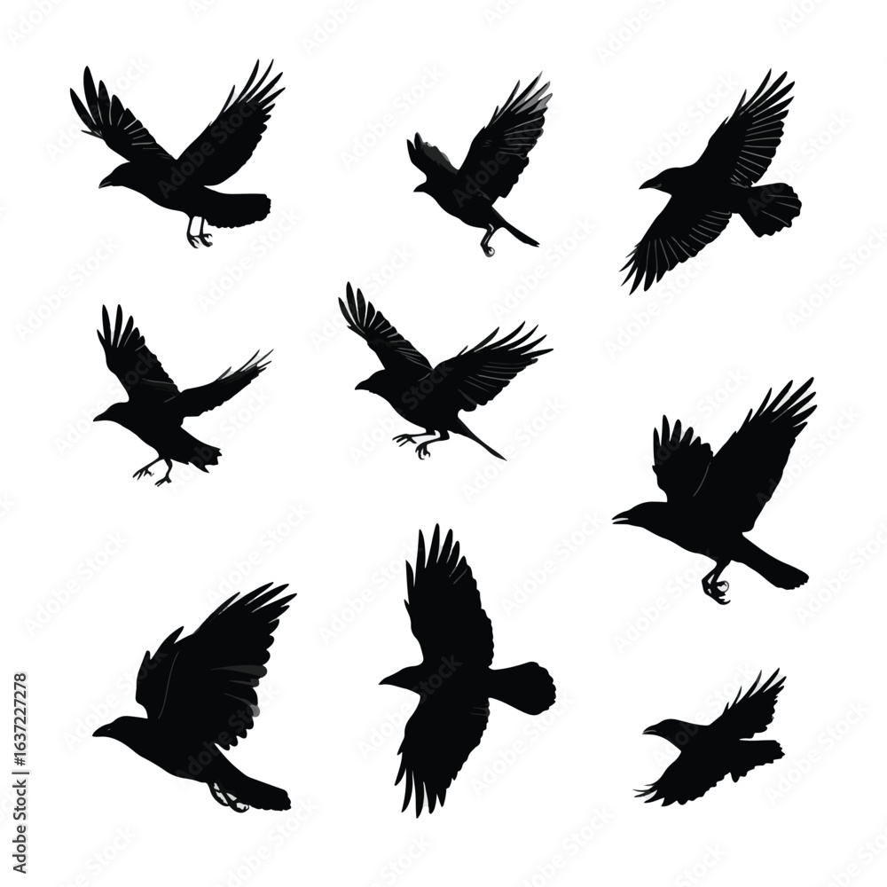 Naklejka premium crow silhouette set flying, Black & White silhouette set