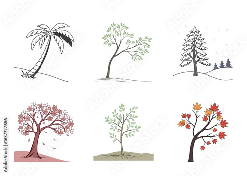 Stylized Trees Representing the Seasons from Palm to Evergreen to Fall Color