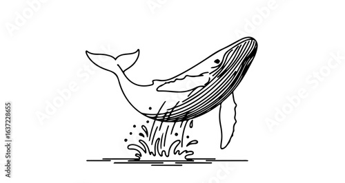 Whale breaching illustration ocean life marine animal drawing aquatic mammal sea creature line art design vector