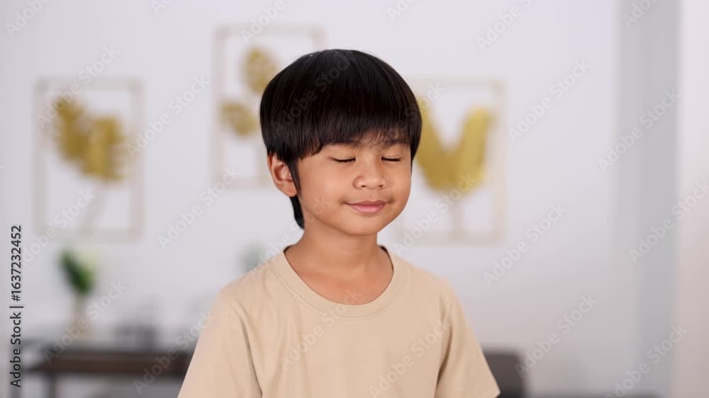 Smiling Asian Boy Making Playful Facial Expressions Indoors Smiling Asian Boy Making Playful Facial Expressions Indoors